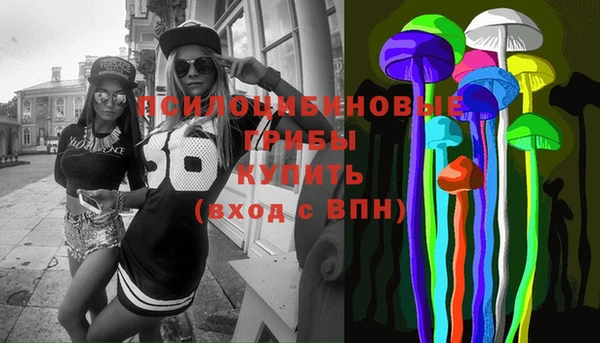 винт Армянск