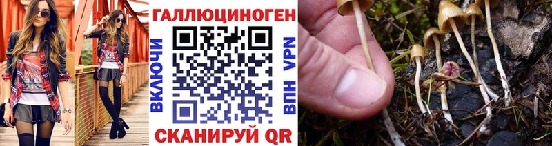 где купить   Маркс  Галлюциногенные грибы мухоморы 